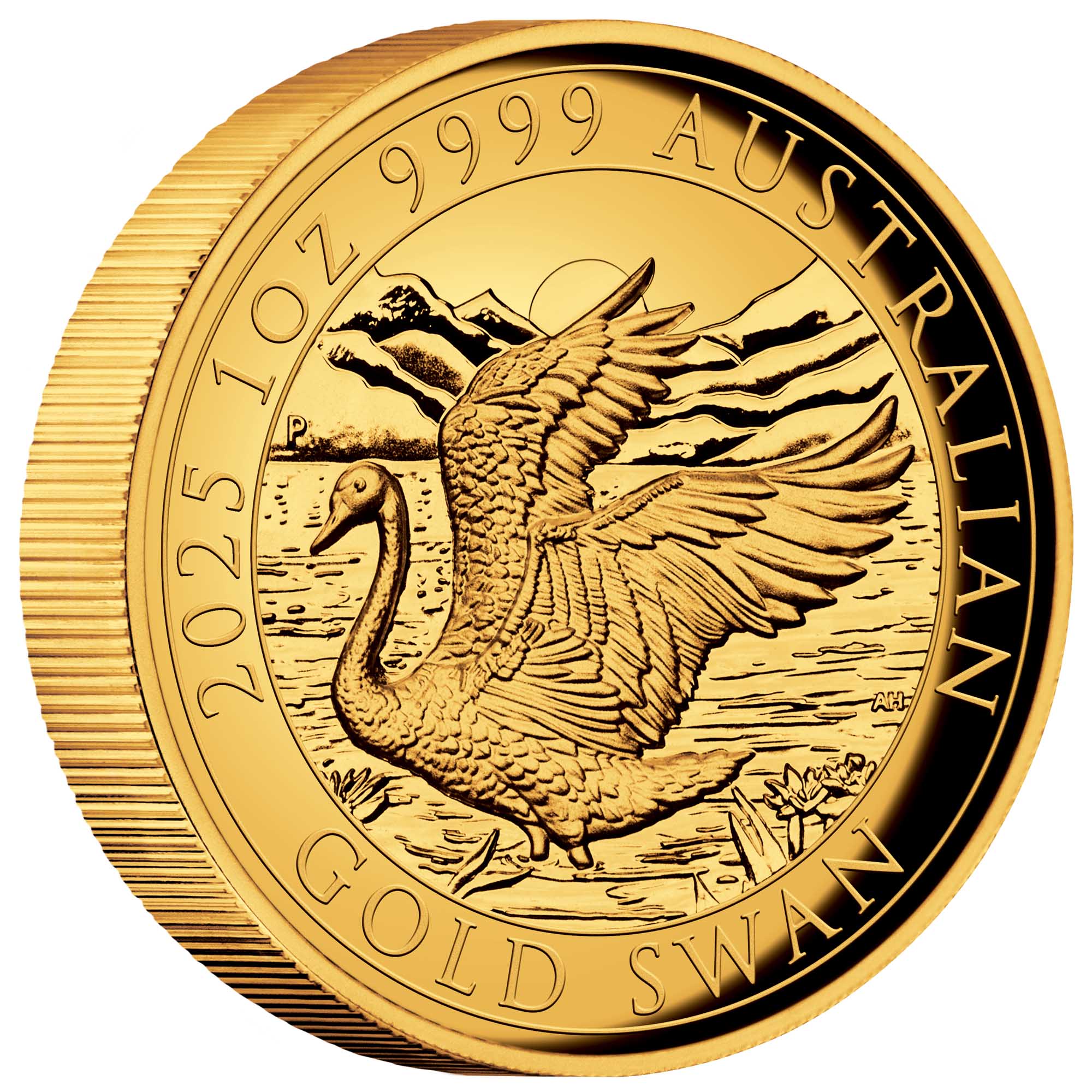 01 Australian Swan 2025 1oz Gold Proof HR Coin On Edge HighRes