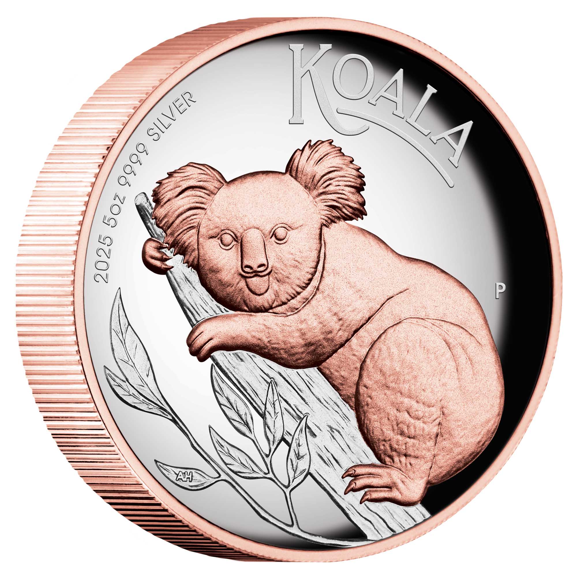 01 2025 Australian Koala 5oz Silver Proof High Relief Gilded Coin OnEdge HighRes