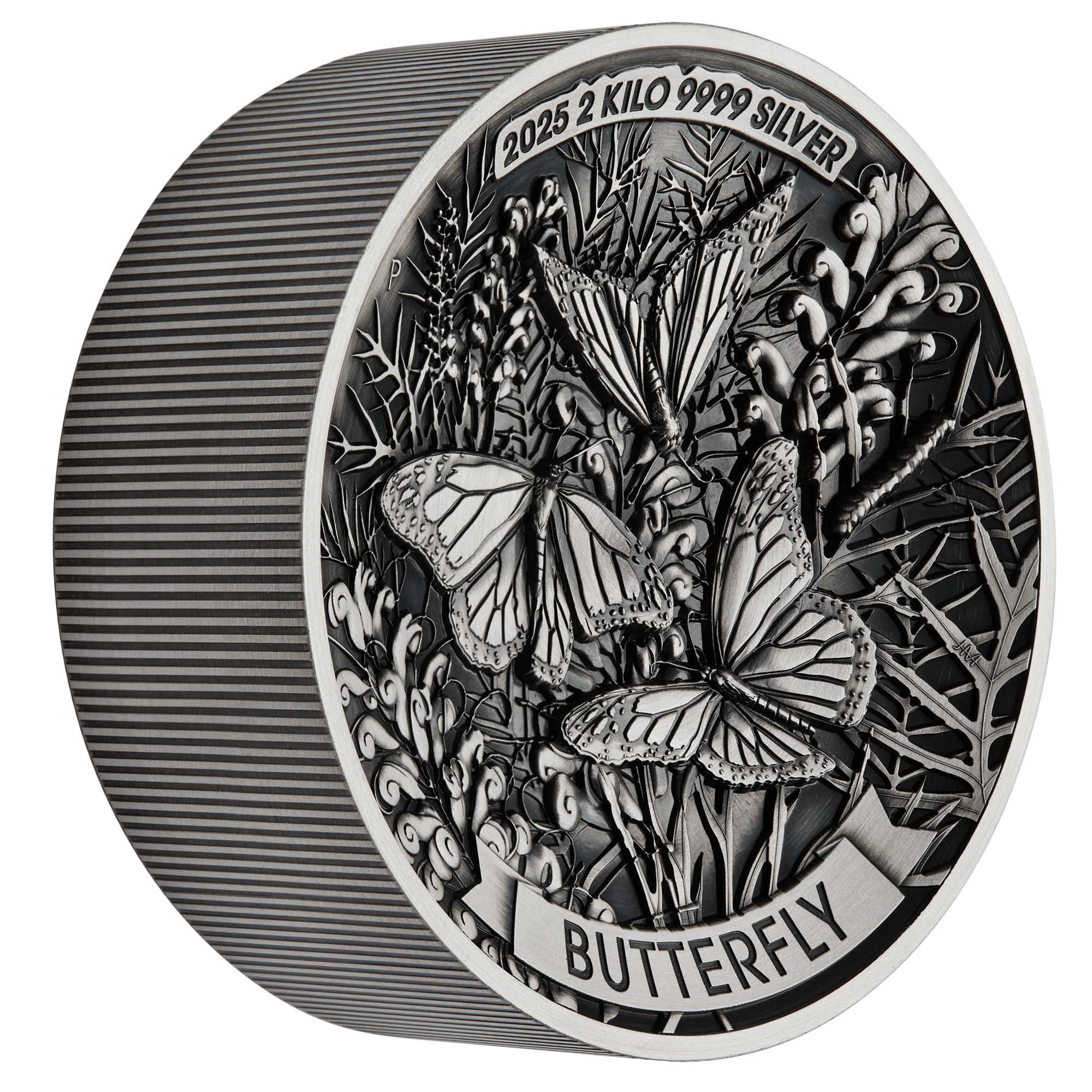 01 Butterfly 2025 2kilo Silver Antiqued Coin on edge HighRes