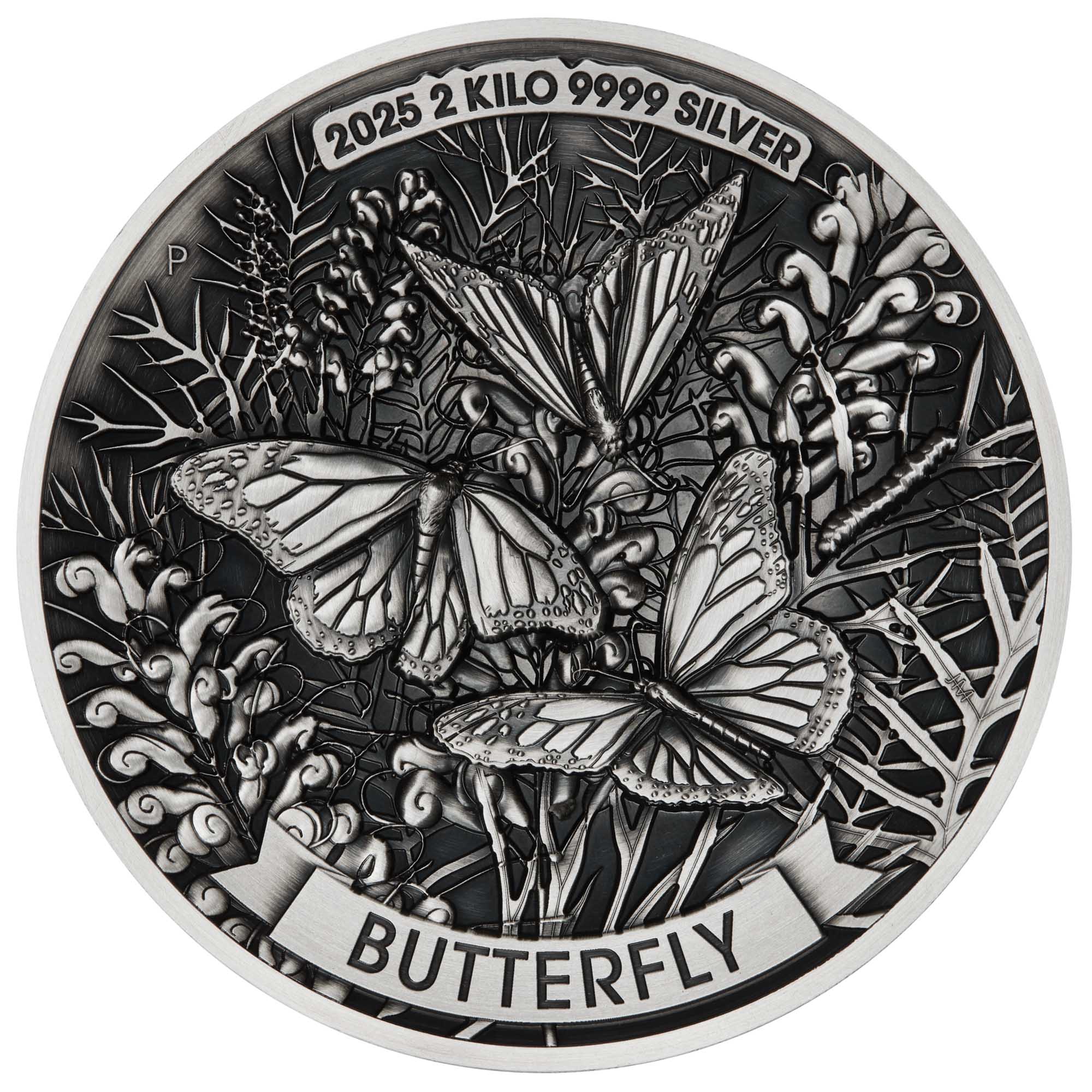 02 Butterfly 2025 2kilo Silver Antiqued Coin straight on HighRes
