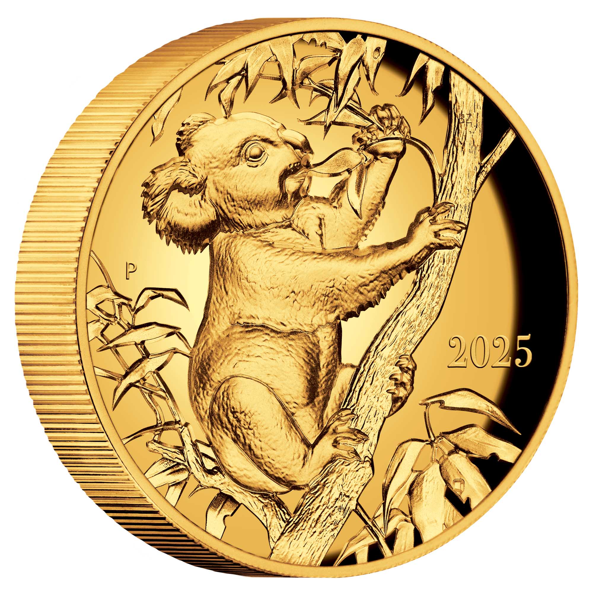 01 Koala By Beth Zaiken 2025 1oz Gold Proof Ultra HR Coin On Edge HighRes