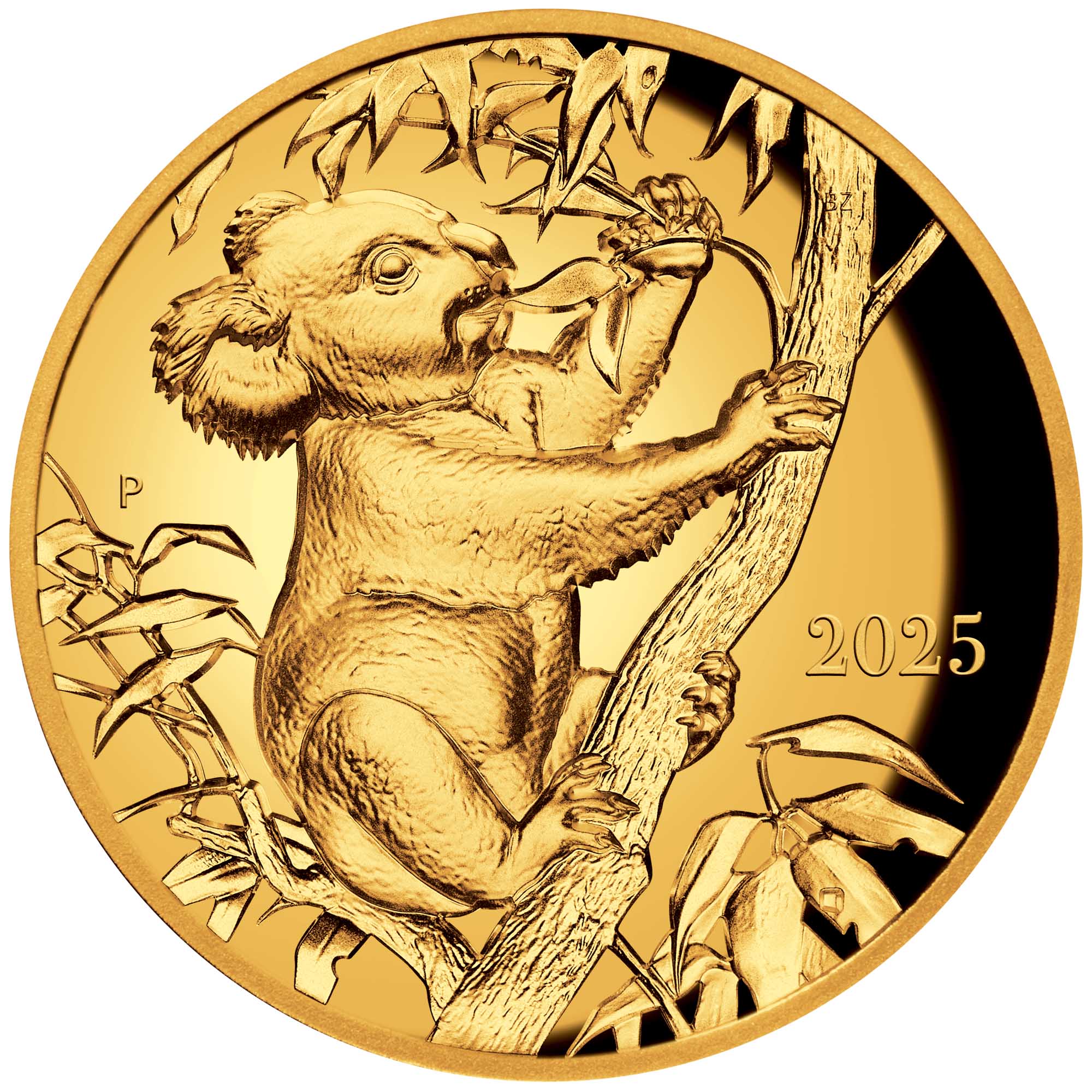02 Koala By Beth Zaiken 2025 1oz Gold Proof Ultra HR Coin straight on HighRes