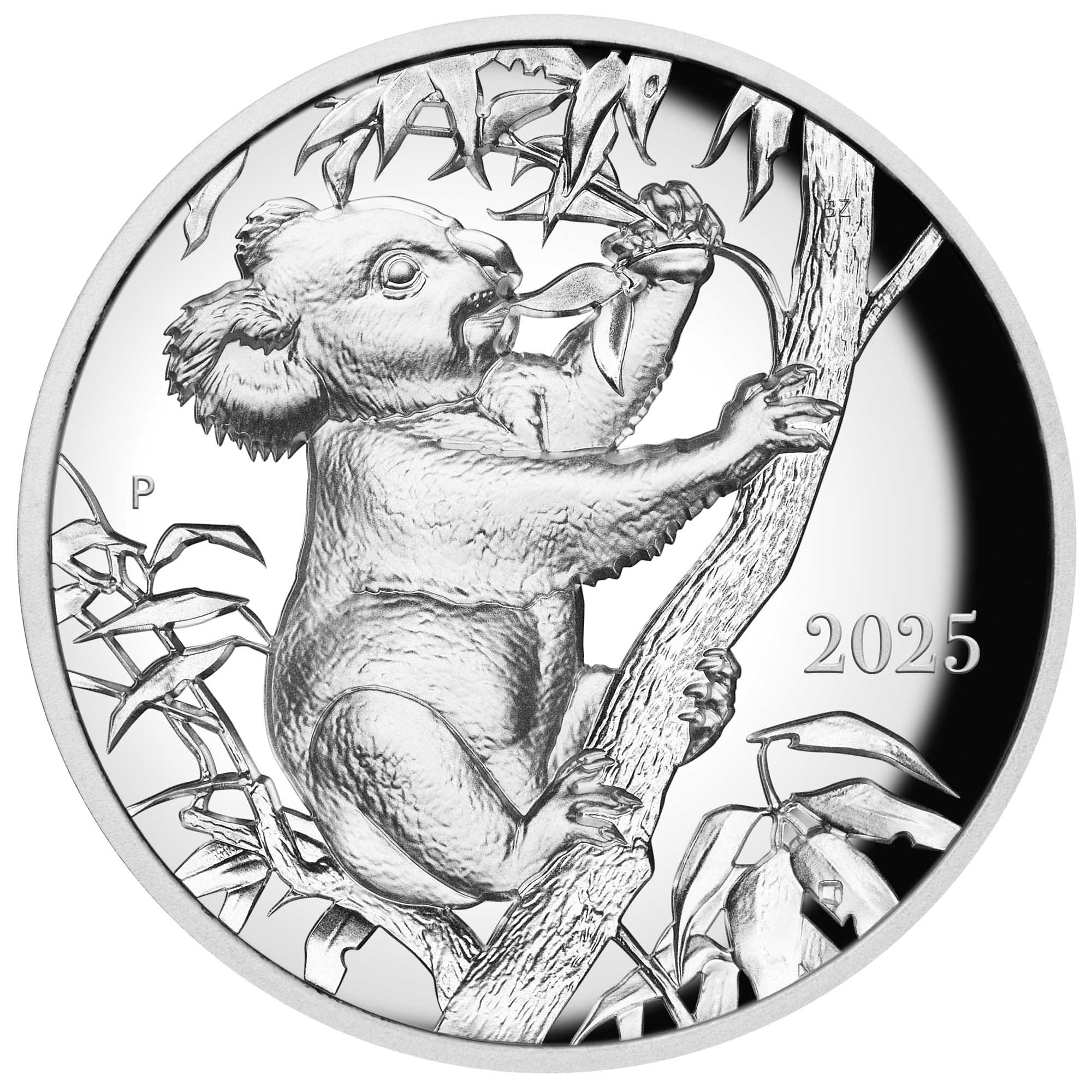 12 Koala By Beth Zaiken 2025 10oz Silver Proof Ultra HR Coin straight on HighRes