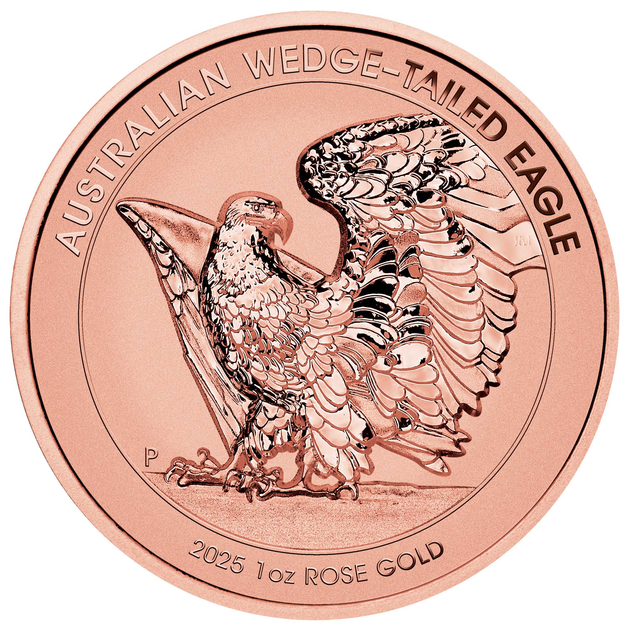 02 Wedge Tailed Eagle 2025 1oz Rose Gold Enhanced Reverse Proof Ultra HR Coin straight on HighRes