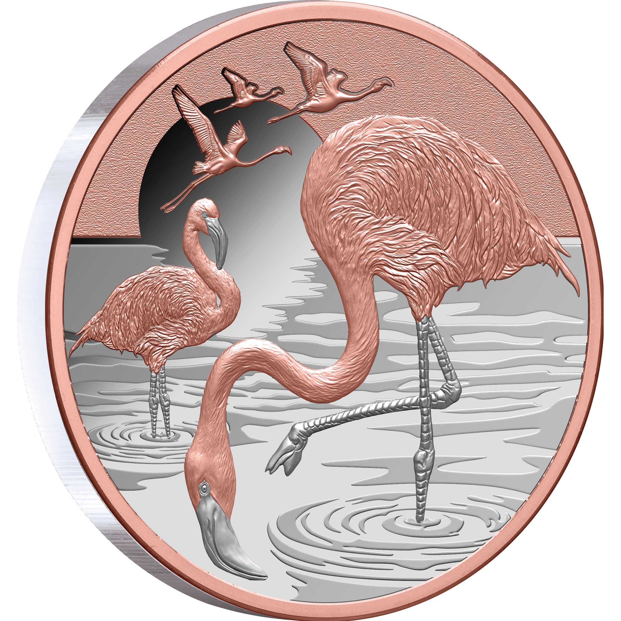1 25Y49AAA Pink Flamingo 2025 1oz Silver Proof Gold Plated Coin RevOnEdge