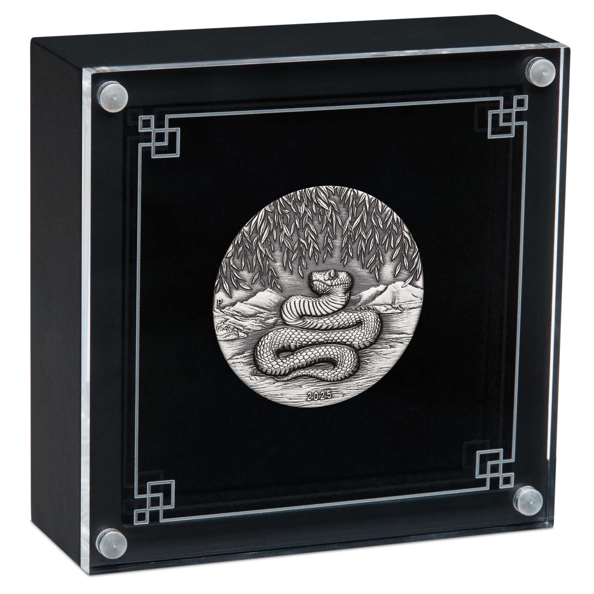 04 YOT Snake 2025 2oz Silver Antiqued Coin in case HighRes
