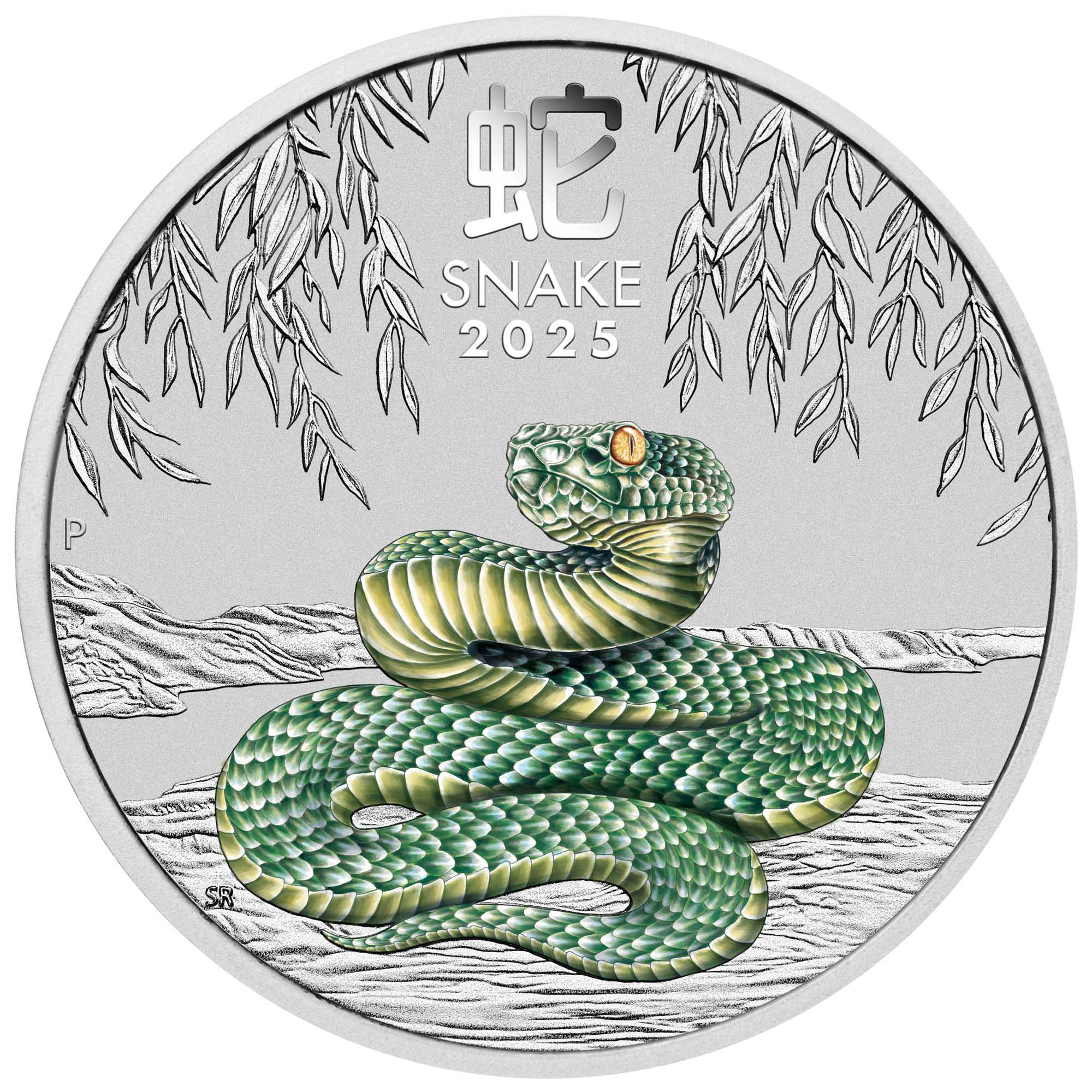 05 2025 Melbourne Money Expo ANDA Special YOT Snake 1oz Silver Coloured Coin straight on HighRes