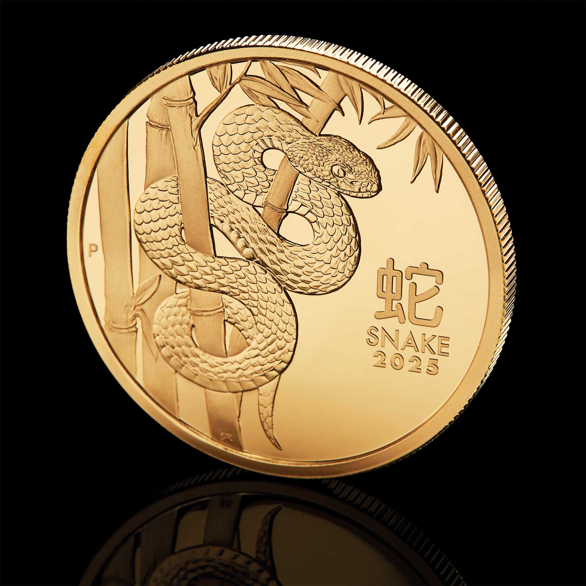 12 Australian Lunar Series III 2025 Year of the Snake 1oz Gold Proof Coin Mood HighRes