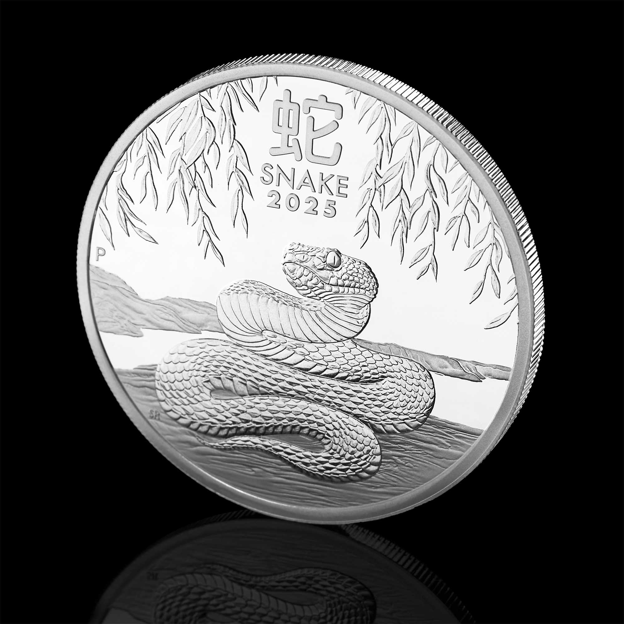 07 Australian Lunar Series III 2025 Year of the Snake 1oz  Silver Proof Coin Mood HighRes