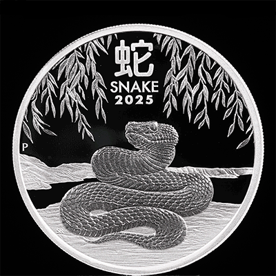 10 lunar silver proof 360