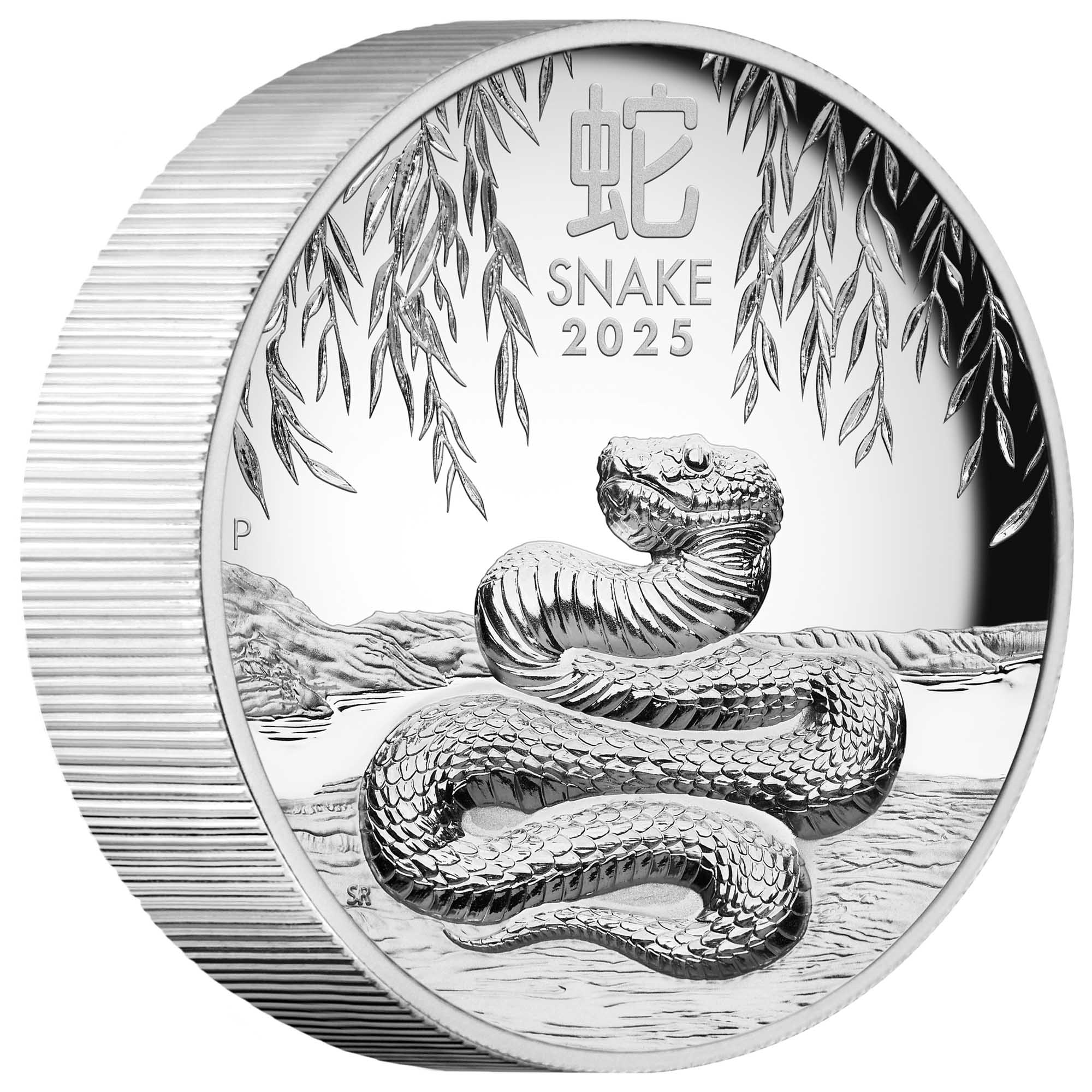 06 2025 Lunar YOT Snake 5oz Silver Proof High Relief Coin on edge HighRes