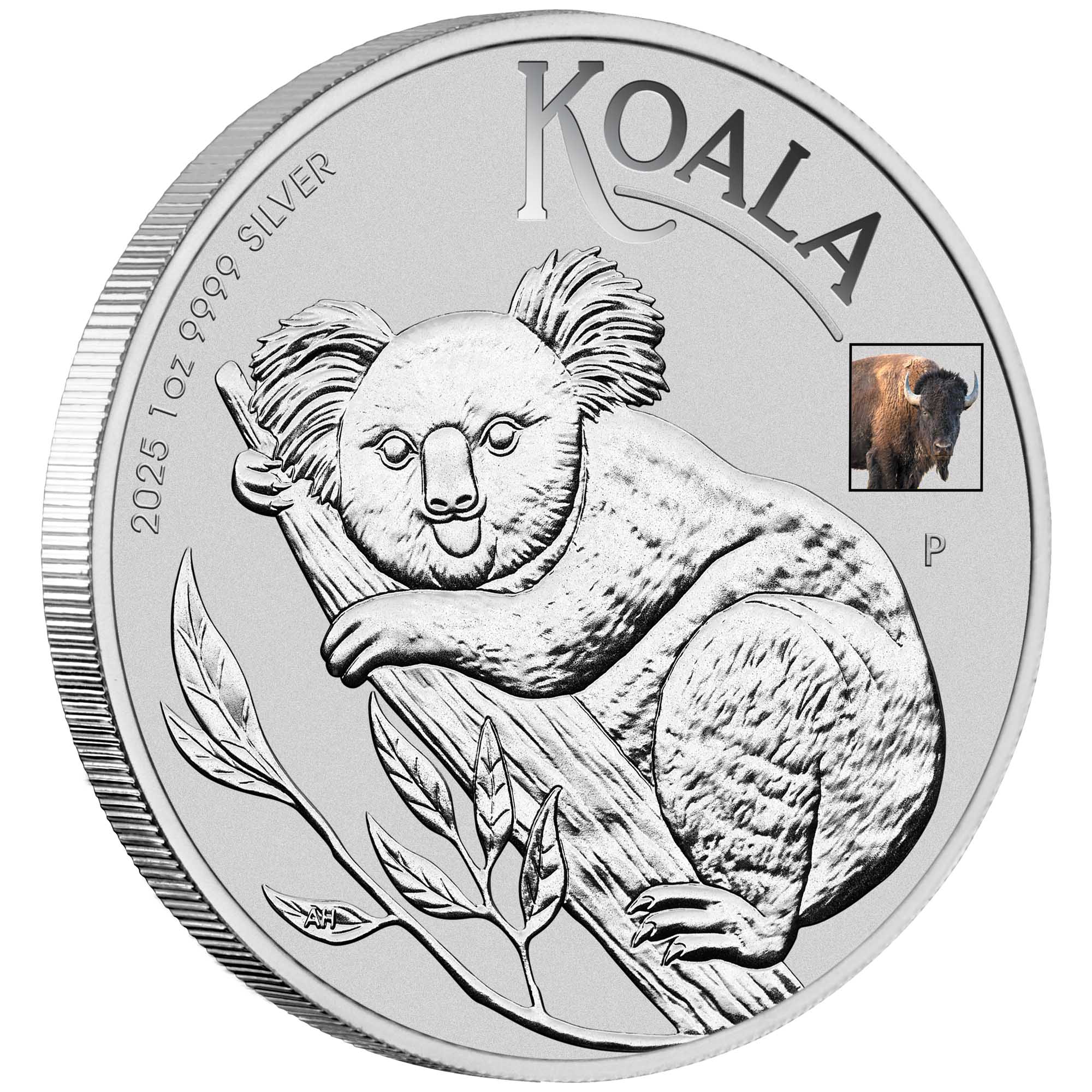 02 ANA Show Special 2025 Australian Koala 1oz Silver Coloured Coin with Bison Privy In Card On Edge HighRes