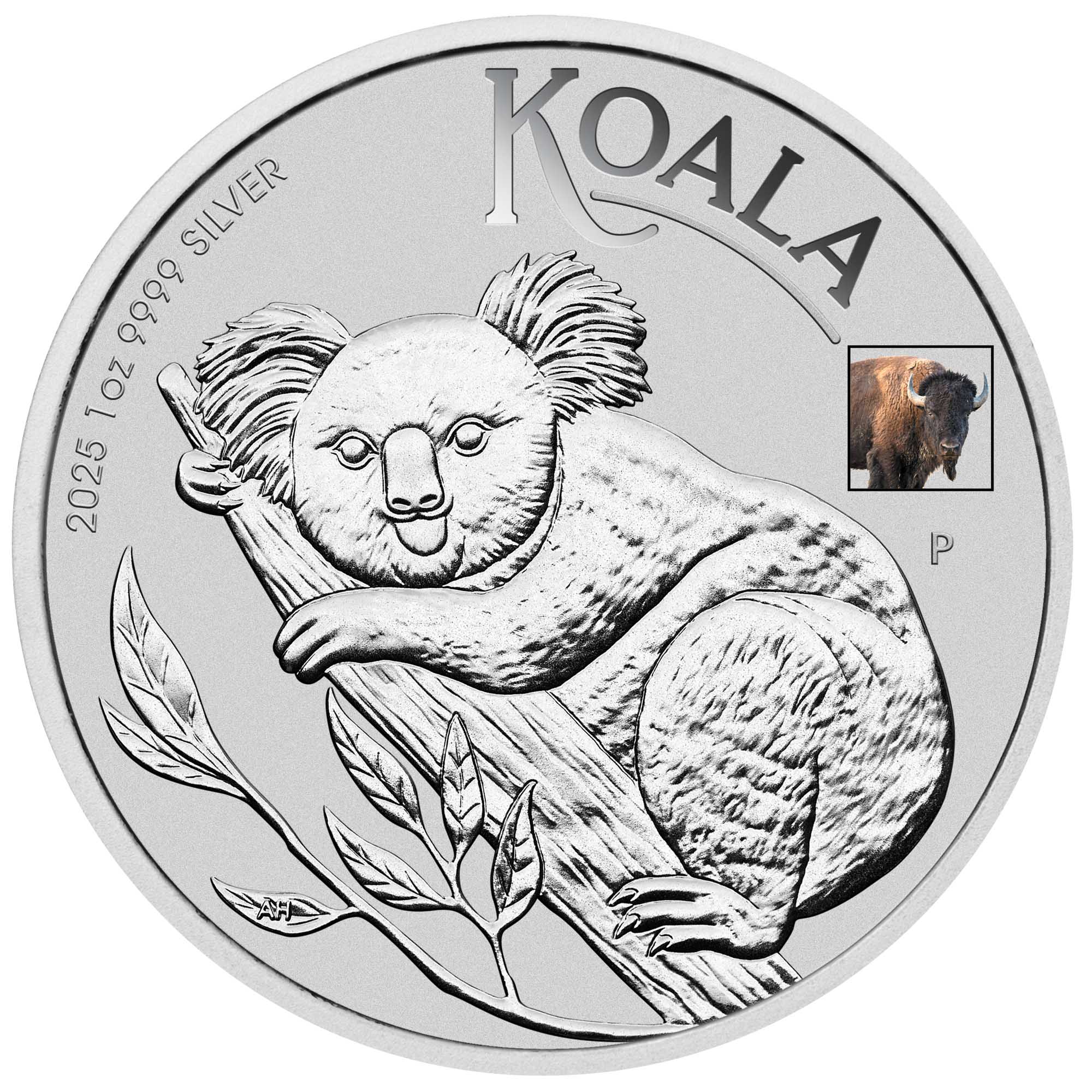 03 ANA Show Special 2025 Australian Koala 1oz Silver Coloured Coin with Bison Privy In Card Straight on HighRes