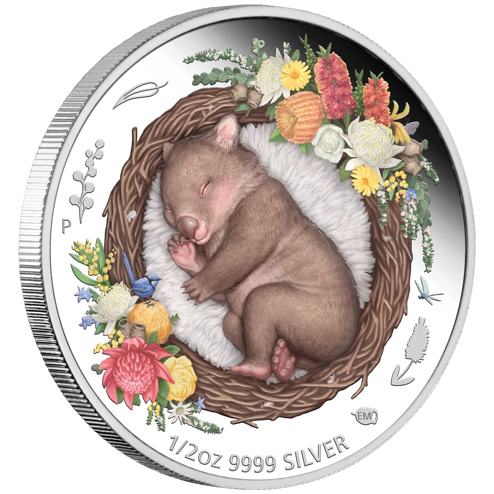 01 Dreaming Down Under Wombat 2021 1 2oz Silver Proof Coloured Coin OnEdge HighRes