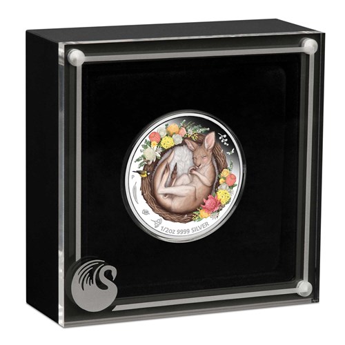 04 Dreaming Down Under Kangaroo 2021 1 2oz Silver Proof Coloured Coin InCase HighRes
