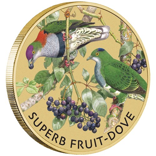 01 superb fruit dove 2021 stamp & coin cover OnEdge