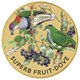 02 superb fruit dove 2021 stamp & coin cover StraightOn