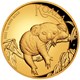 02 2022 Australian Koala 1oz Gold  Proof High Relief Coin StraightOn HighRes
