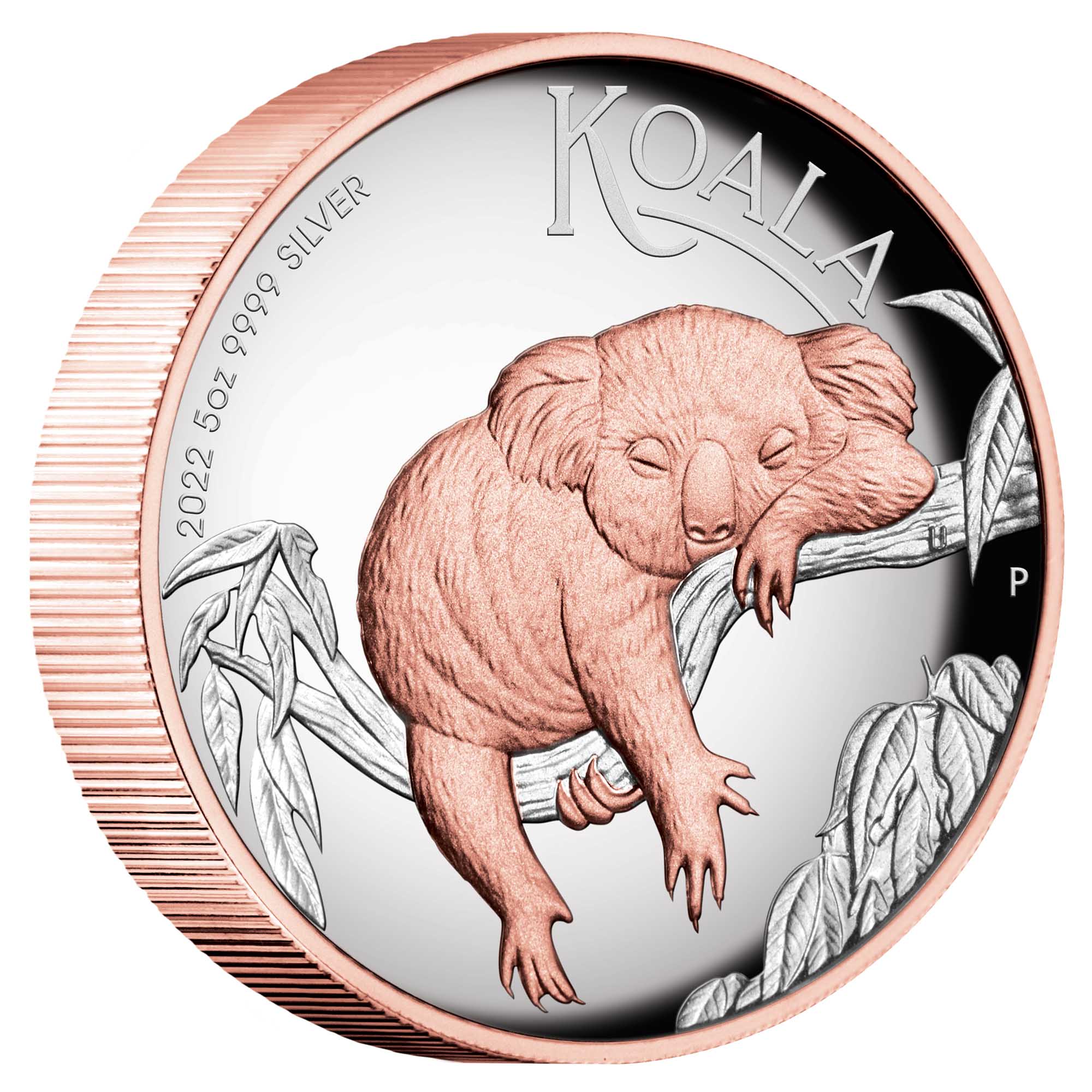 01 2022 australian koala 5oz silver proof high relief gilded coin onedge HighRes