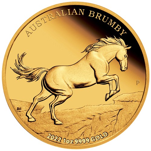 02 2022 AustralianBrumby 1oz Gold Proof Coin StrightOn HighRes
