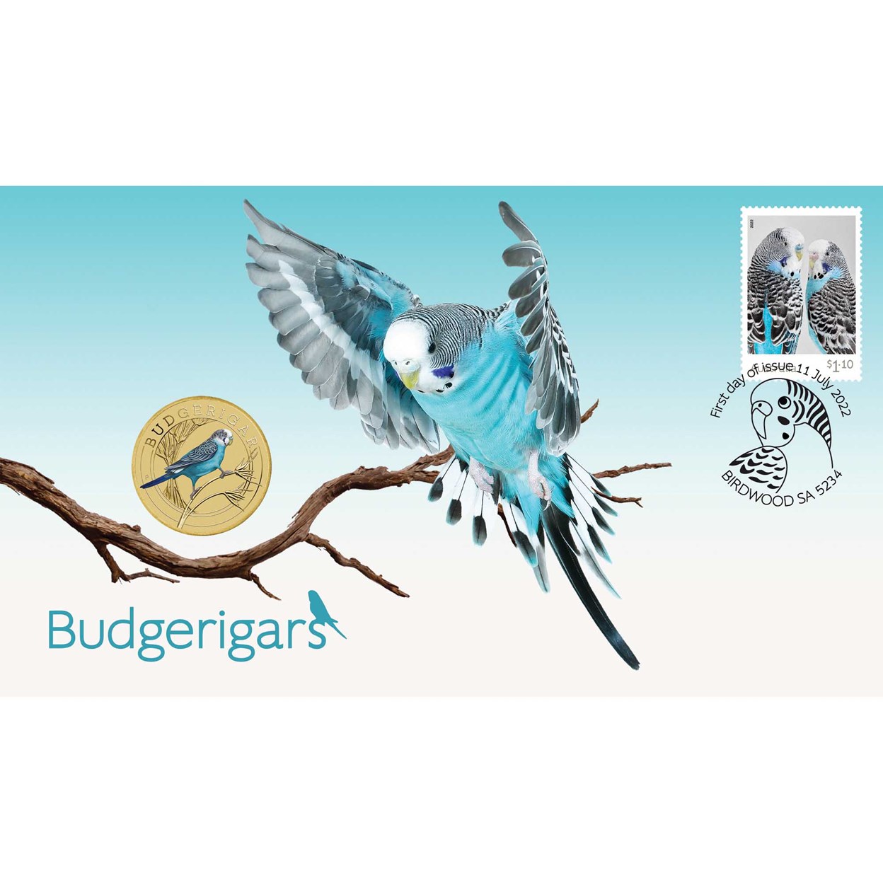 00. Budgies PNC cover