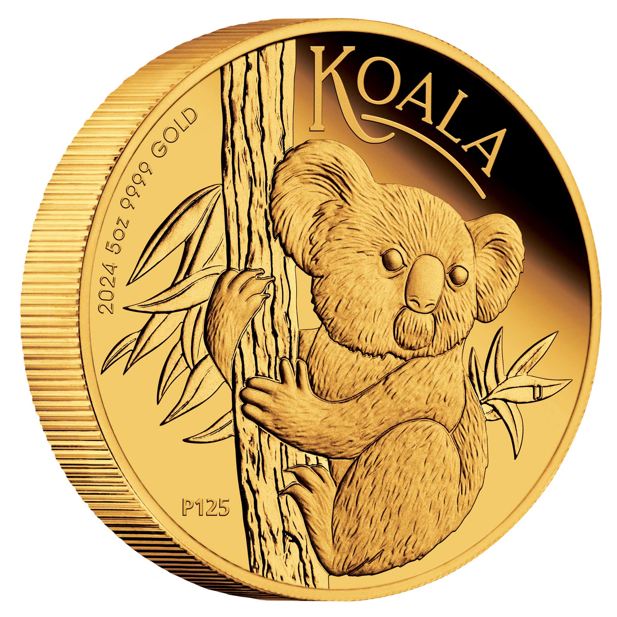 01 2024 Australian Koala 5oz Gold Proof Coin OnEdge HighRes
