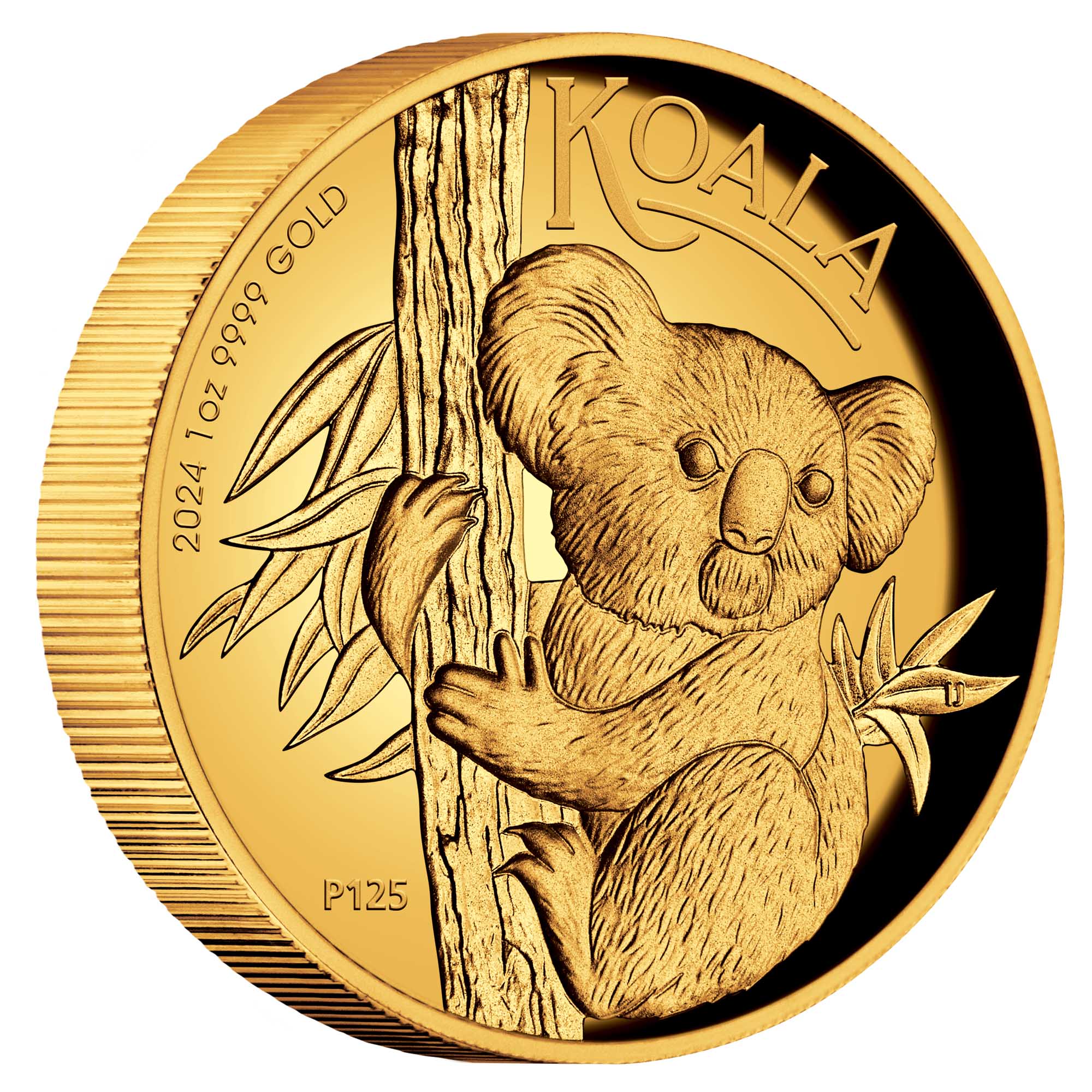 01 2024 Australian Koala 1oz Gold Proof High Relief Coin on edge HighRes