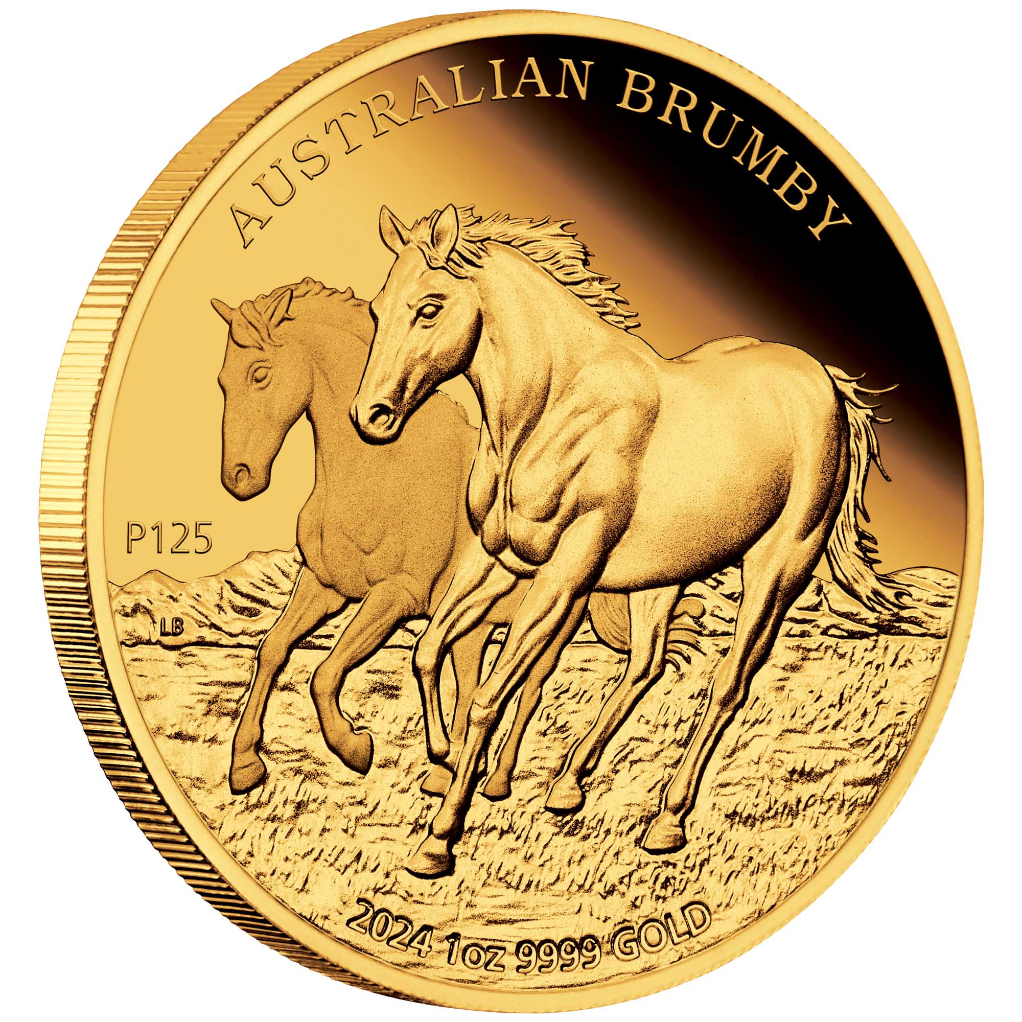 01 2024 Australian Brumby 1oz Gold Proof Coin on edge HighRes