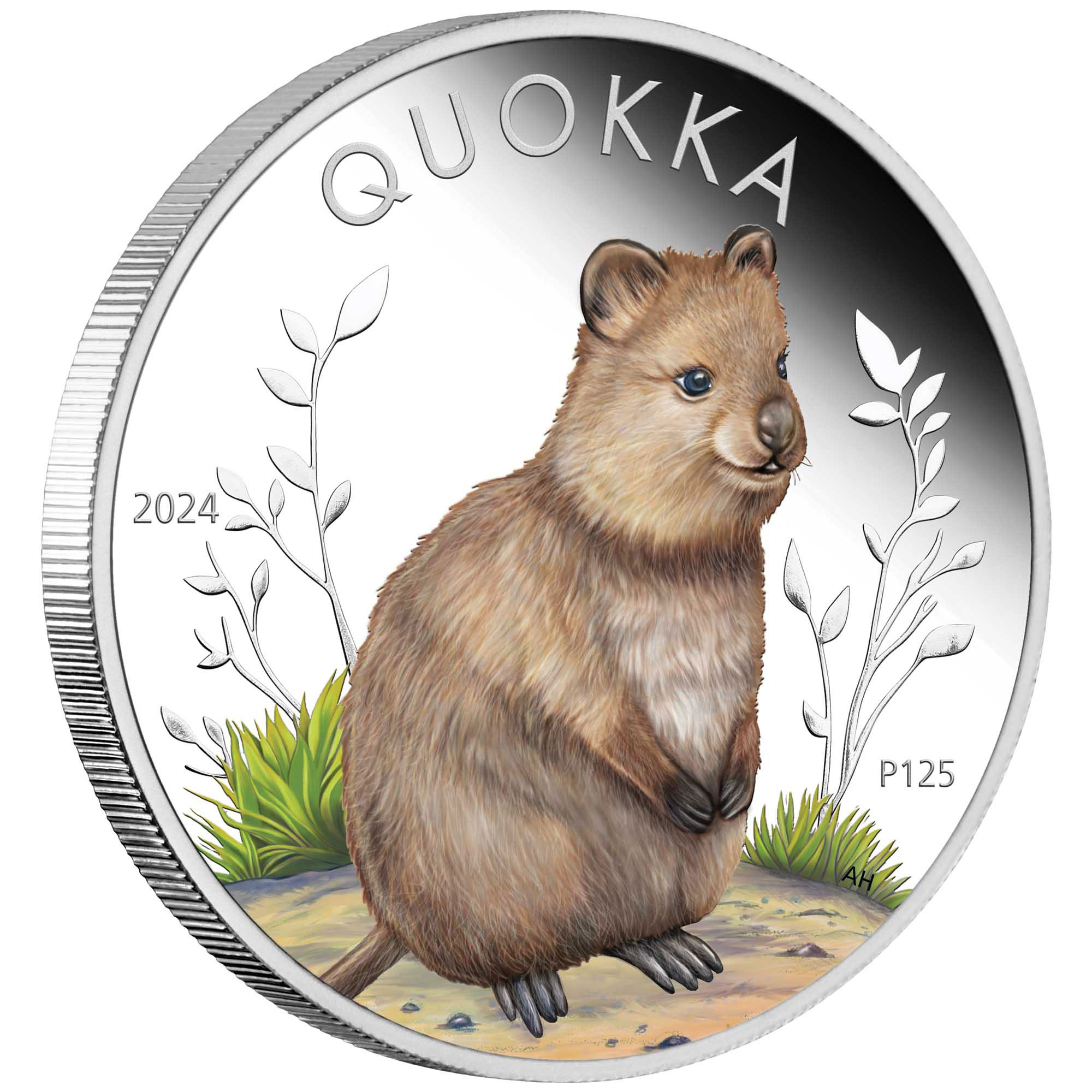 01 Quokka 2024 1oz Silver Proof Coloured Coin on edge HighRes
