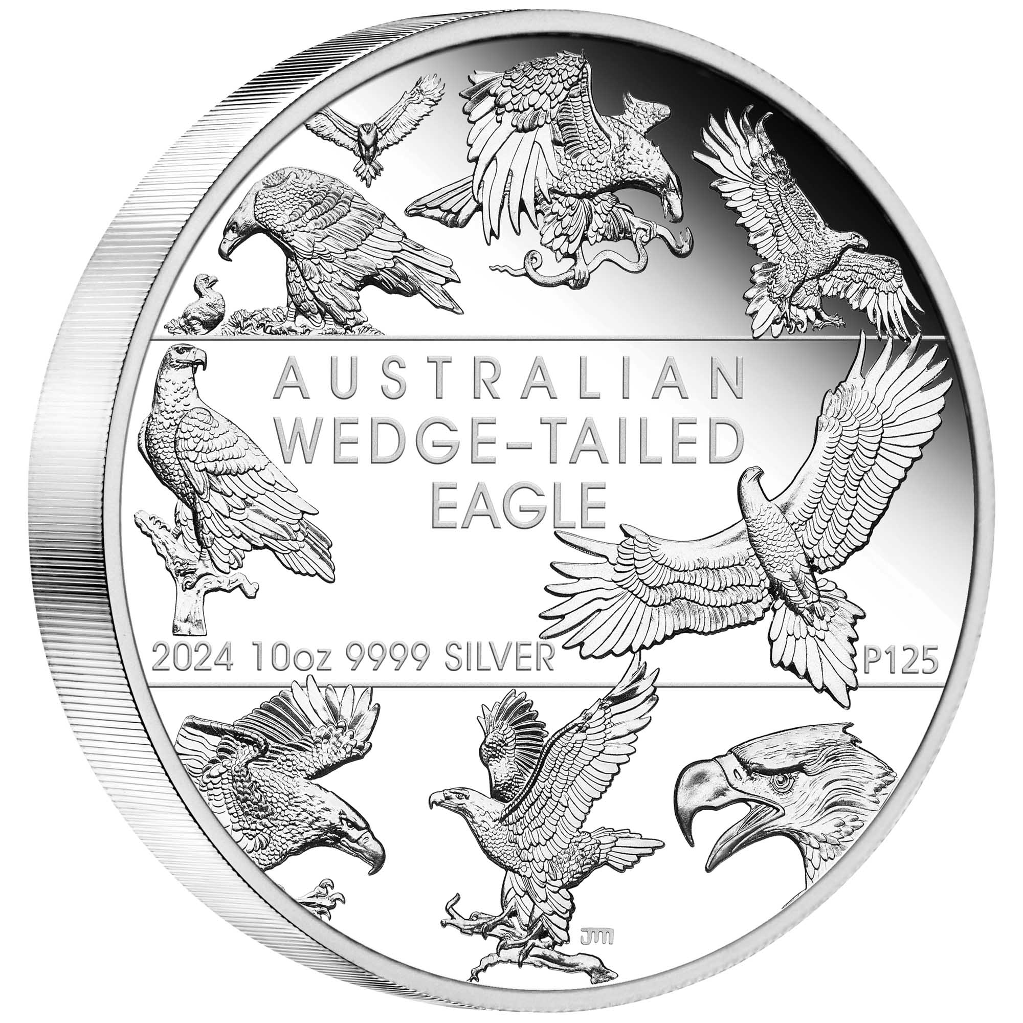 06 2024 Wedge tailed Eagle