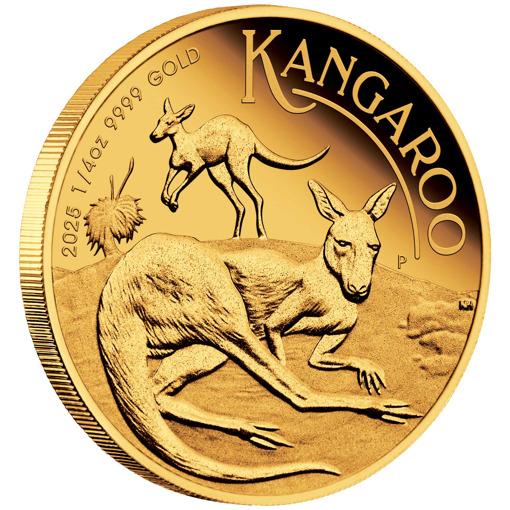 01 2025 Australian Kangaroo 1 4oz Gold Proof Coin OnEdge HighRes