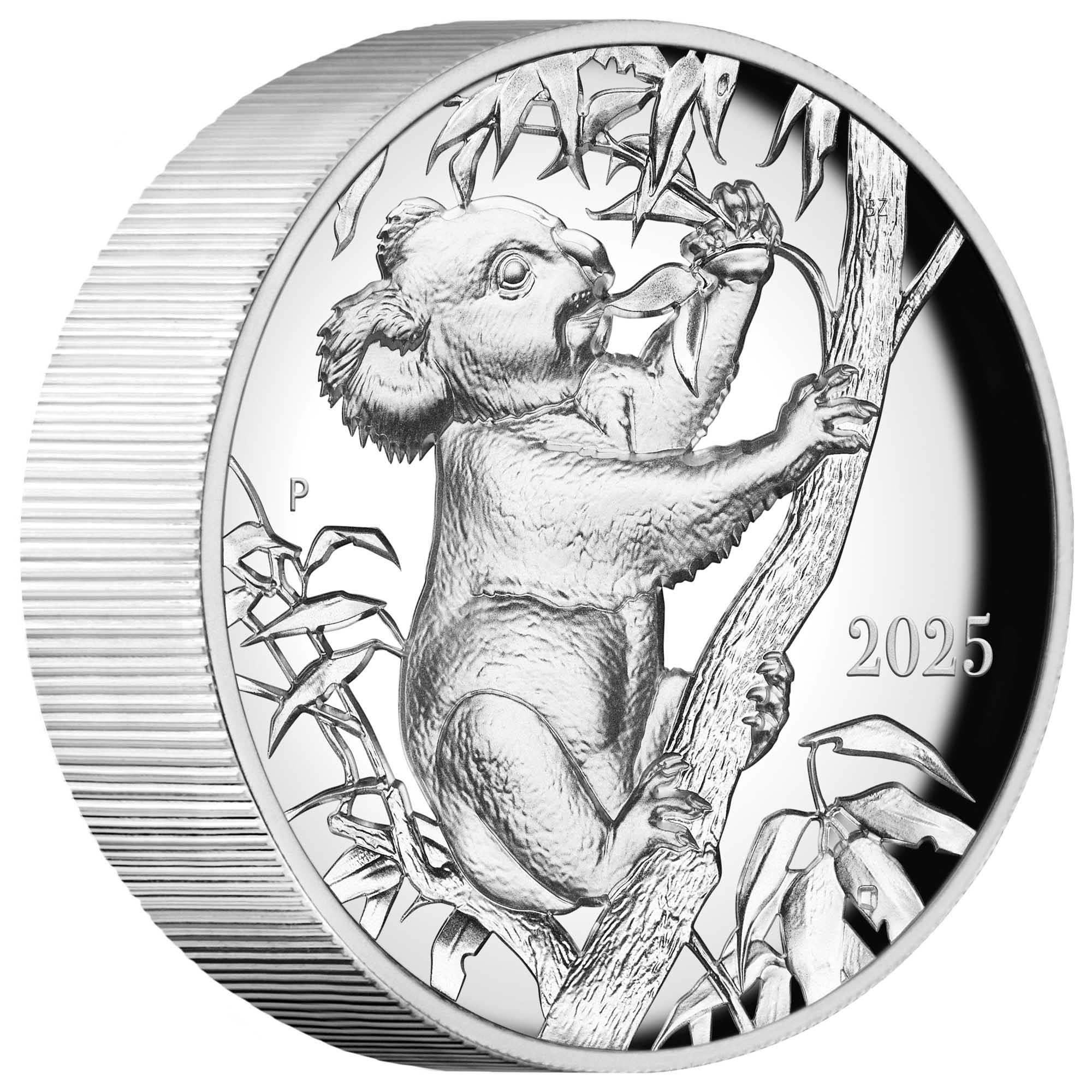 11 Koala By Beth Zaiken 2025 10oz Silver Proof Ultra HR Coin On Edge HighRes