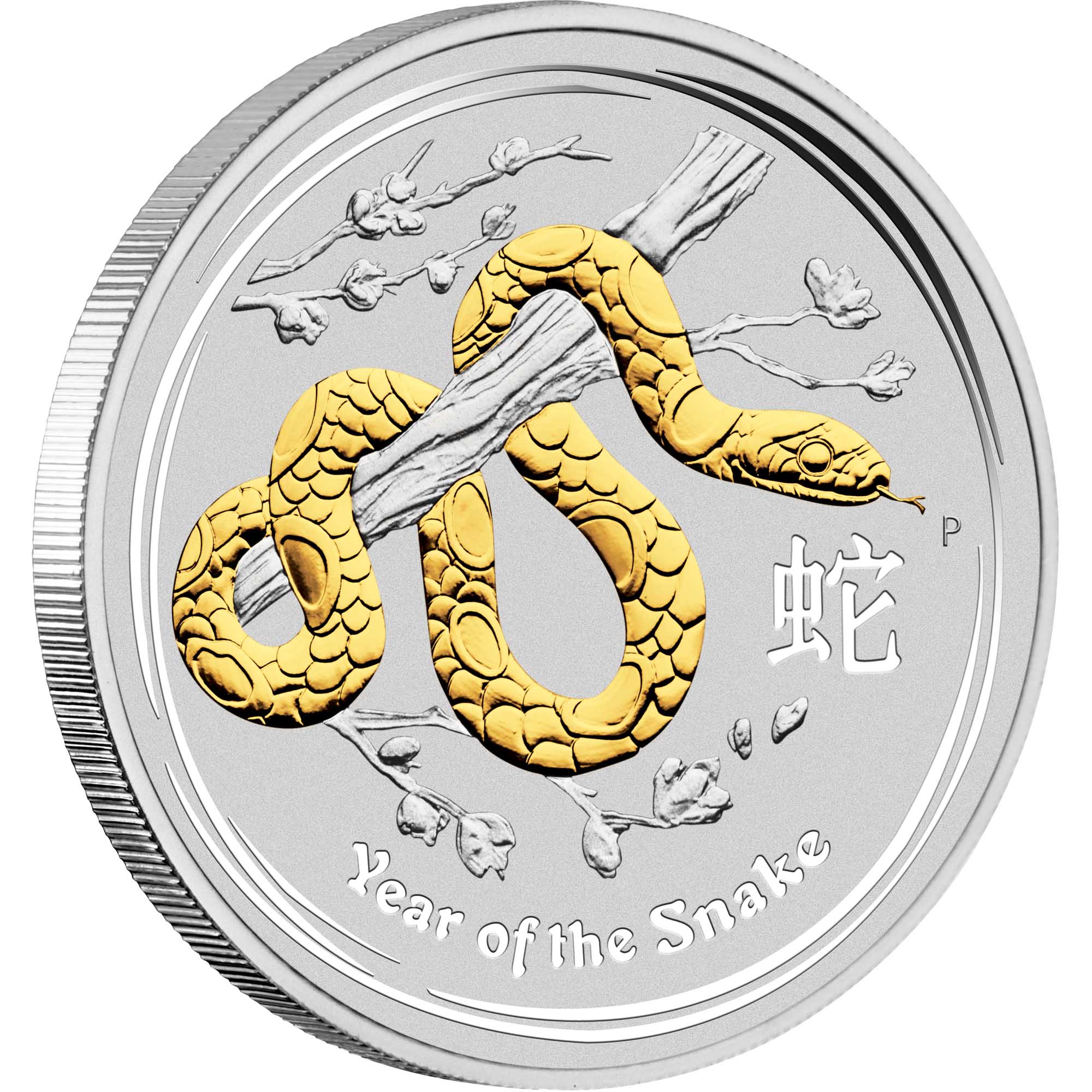 09 2013 Lunar YearOfTheSnake Silver 1oz Gilded OnEdge HighRe