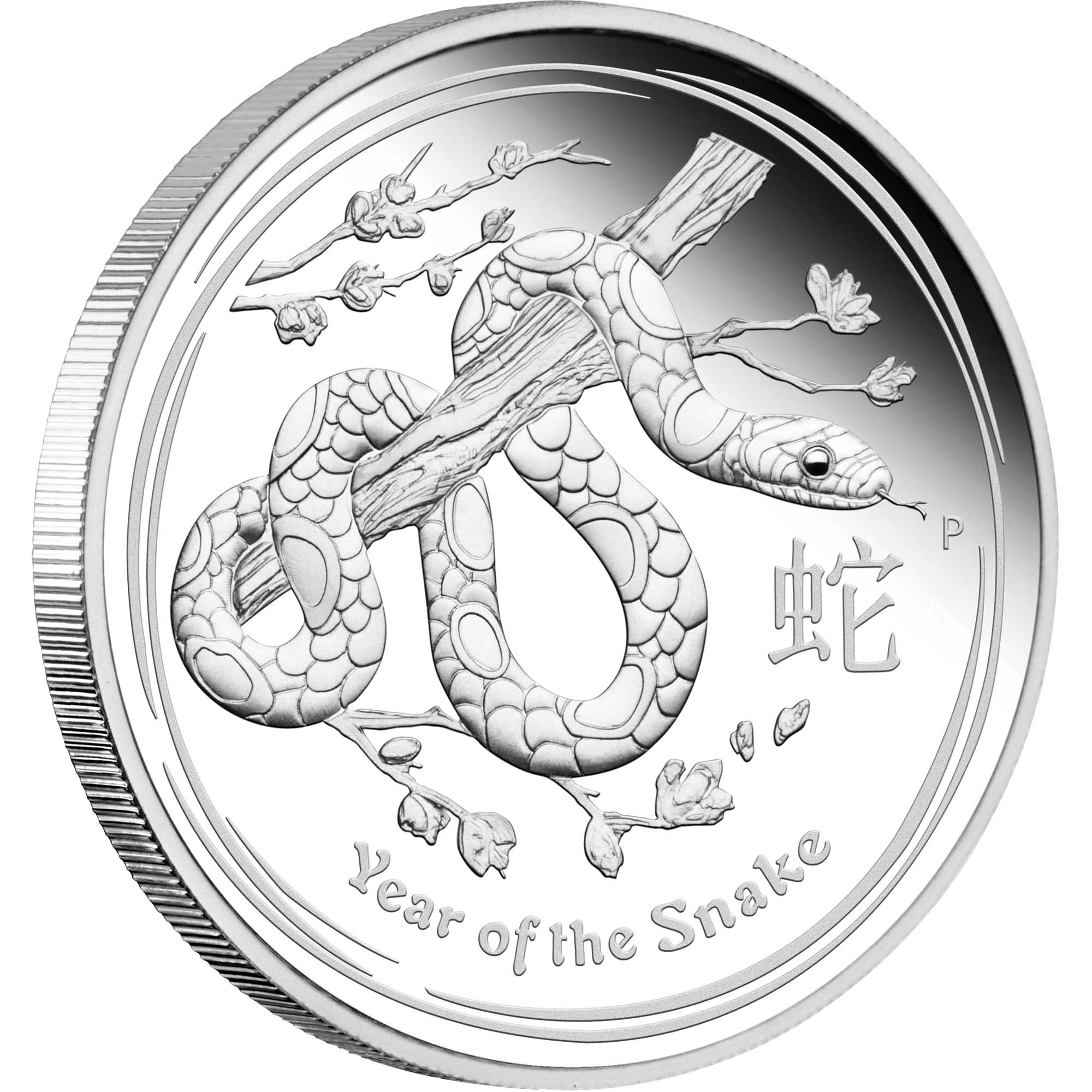 05 2013 Lunar YearOfTheSnake Silver 5oz Proof OnEdge HighRe