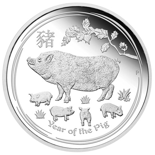 02 australian lunar silver coin series ii year of the pig 2019 1oz silver proof StraightOn