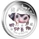 01 australian lunar silver coin series ii year of the pig 2019 1oz silver coloured OnEdge