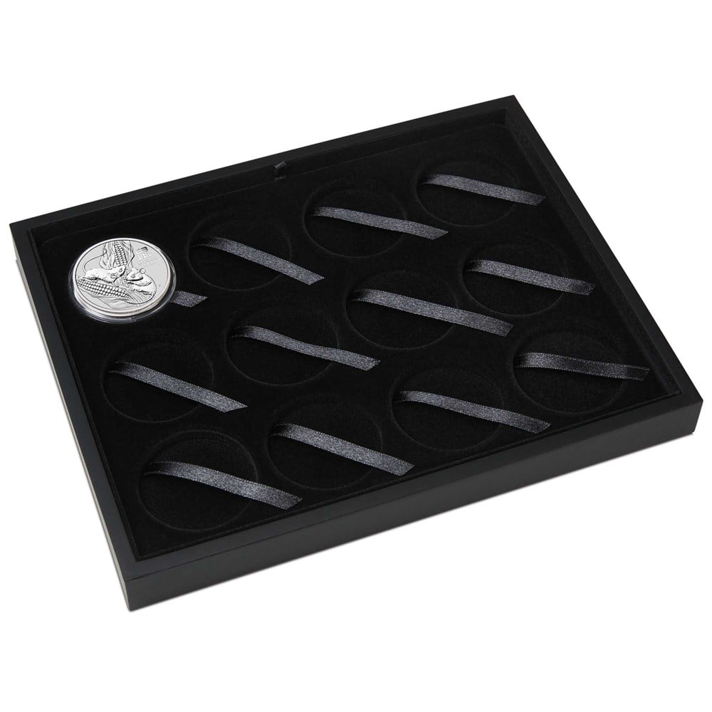 05 silver lunar 12 coin case 2019 1oz silver InCase