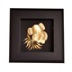 02 3d gold plated koala frame