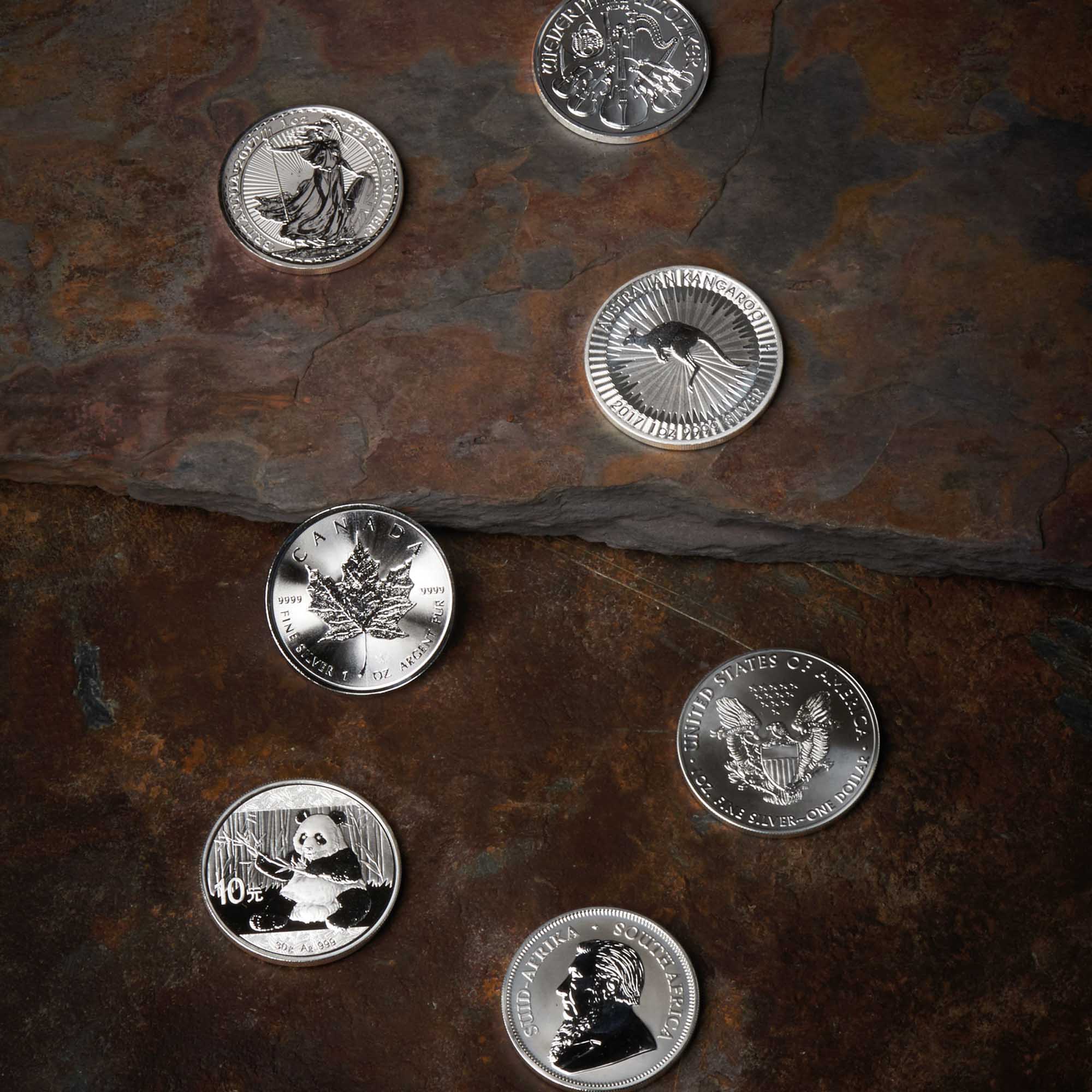 02 the world of leading bullion coins book