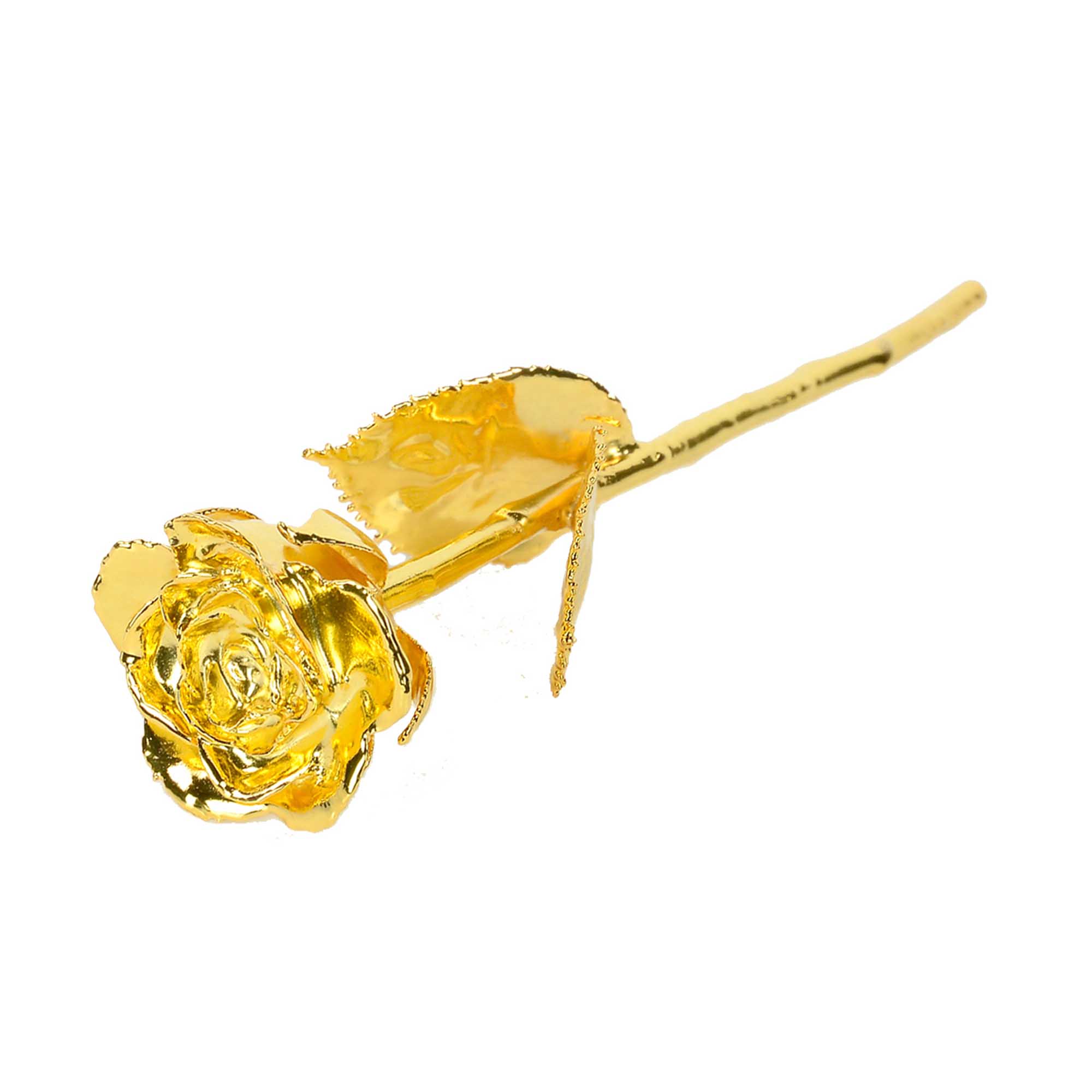 02 gold infinity rose