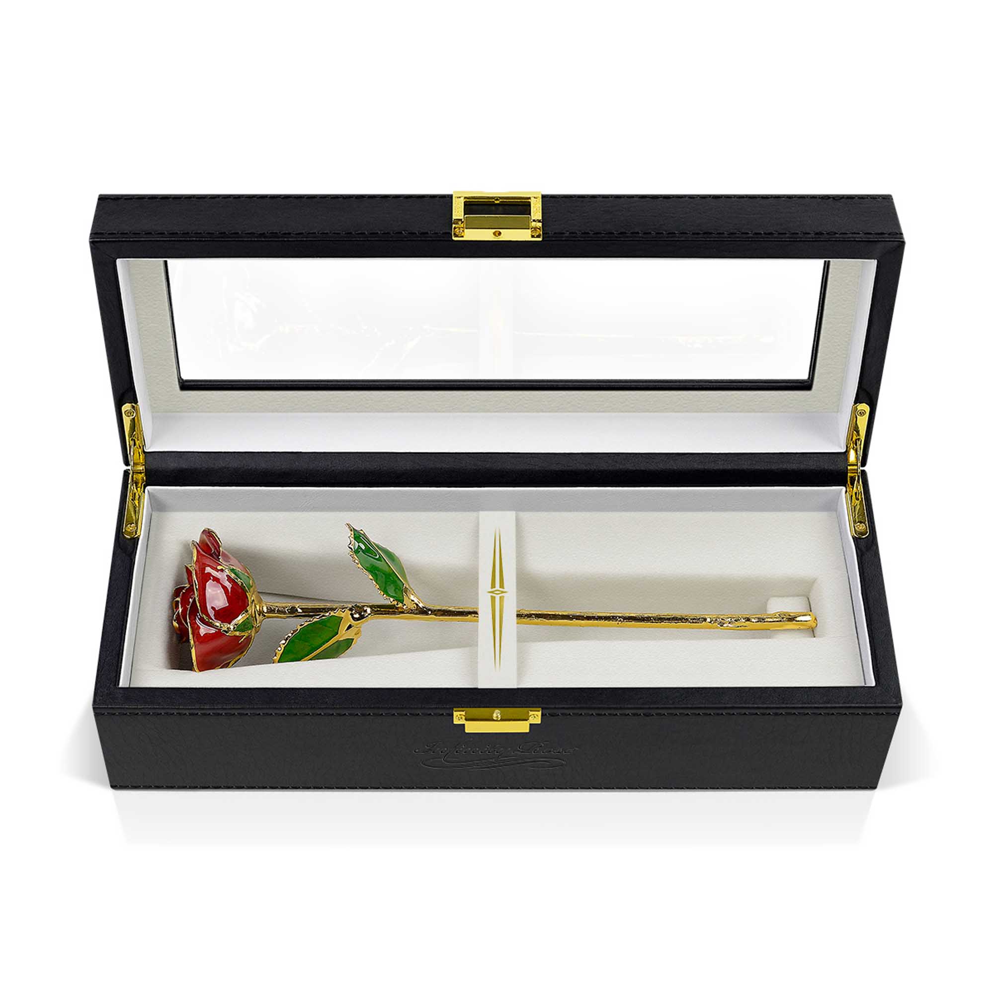 02 red infinity rose