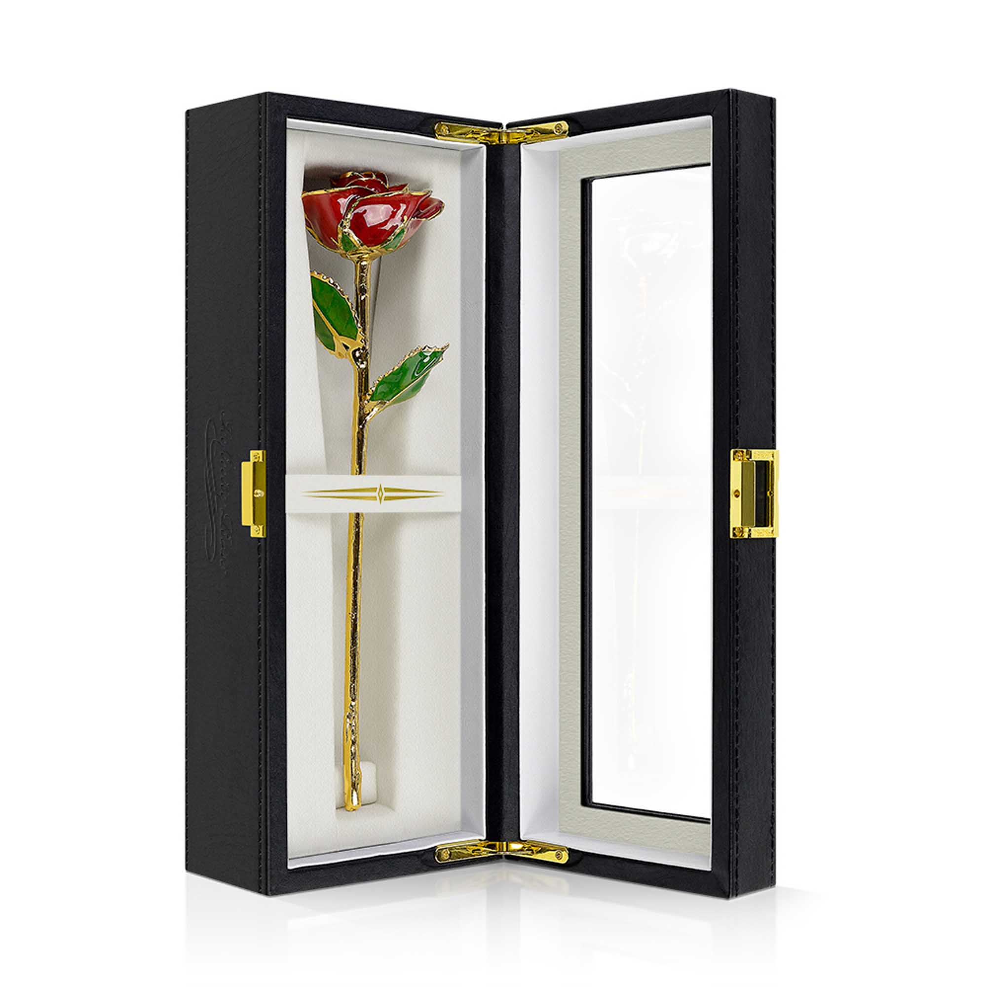 04 red infinity rose