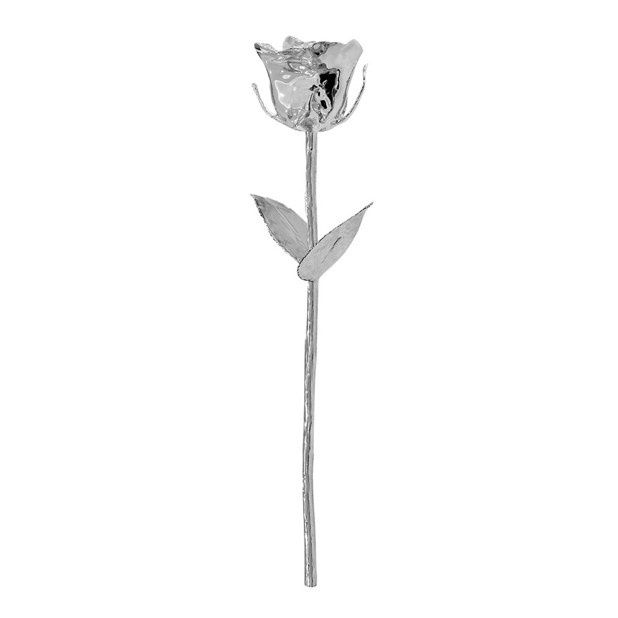 02 silver infinity rose