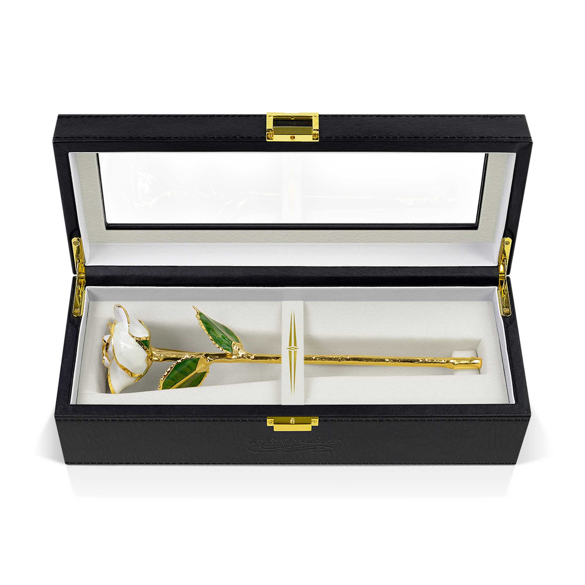 02 white infinity rose