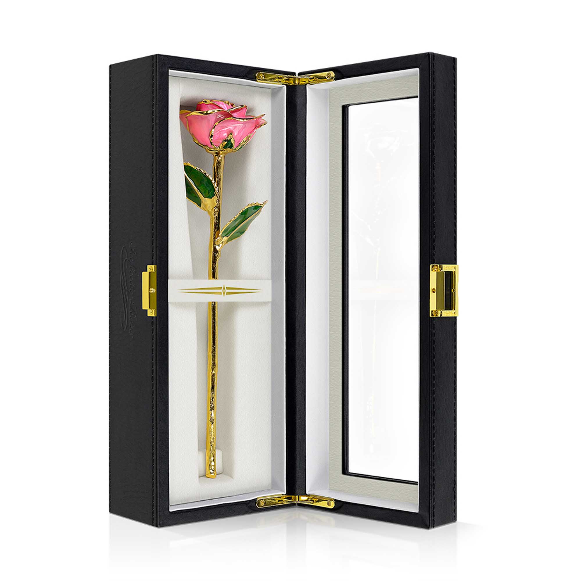 04 pink infinity rose