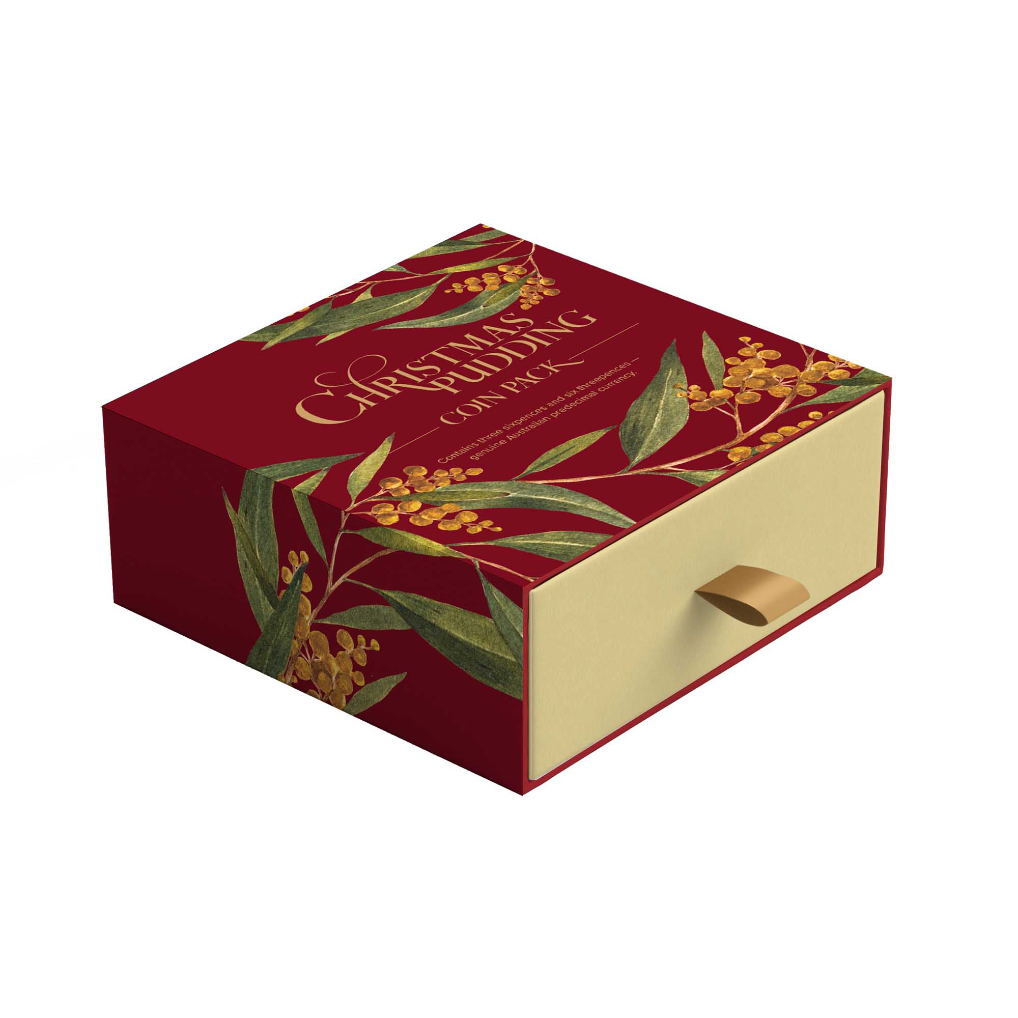 2 24V47AAA Christmas Pudding Coin Pack