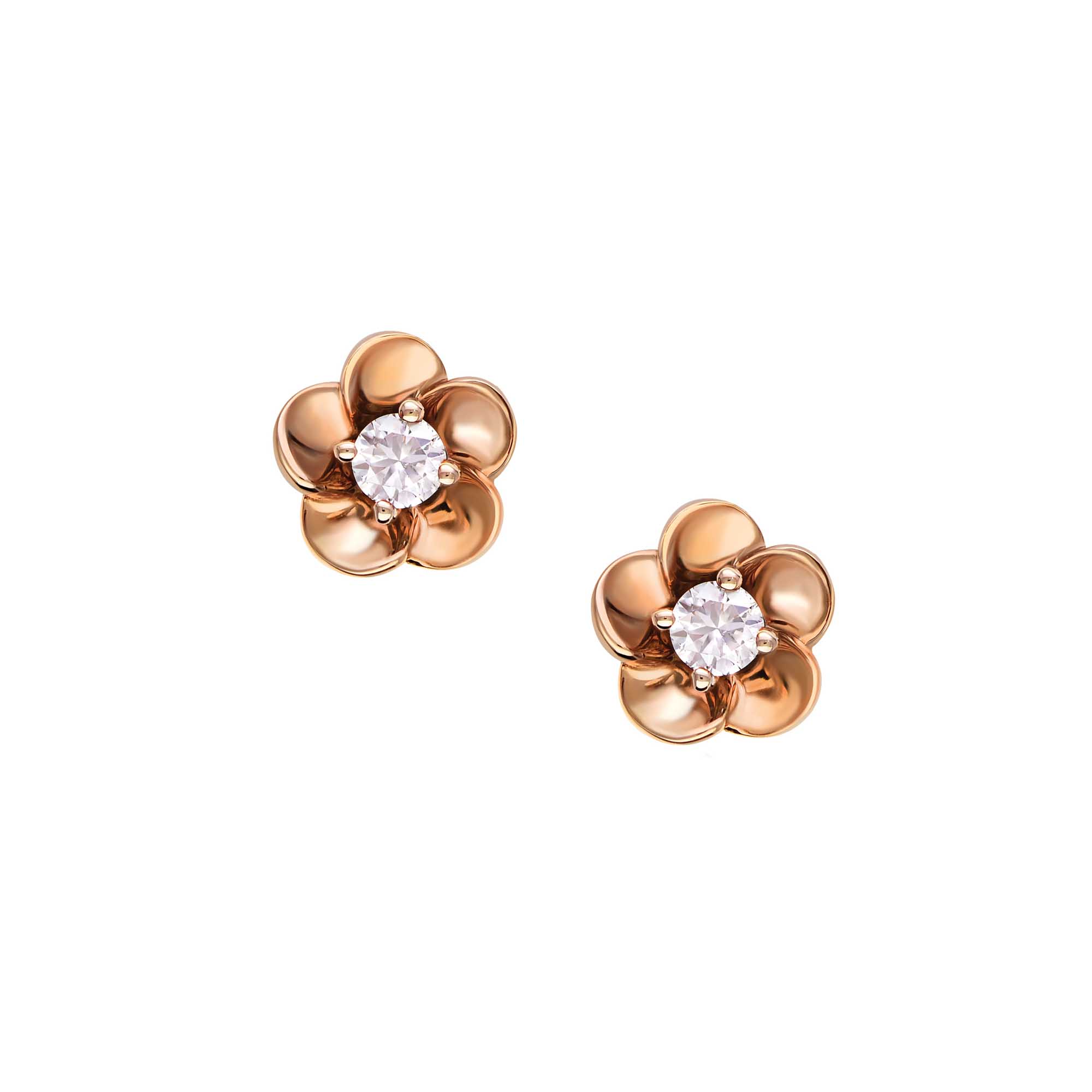 01  22Q69AAA Blush Hermoine Earings