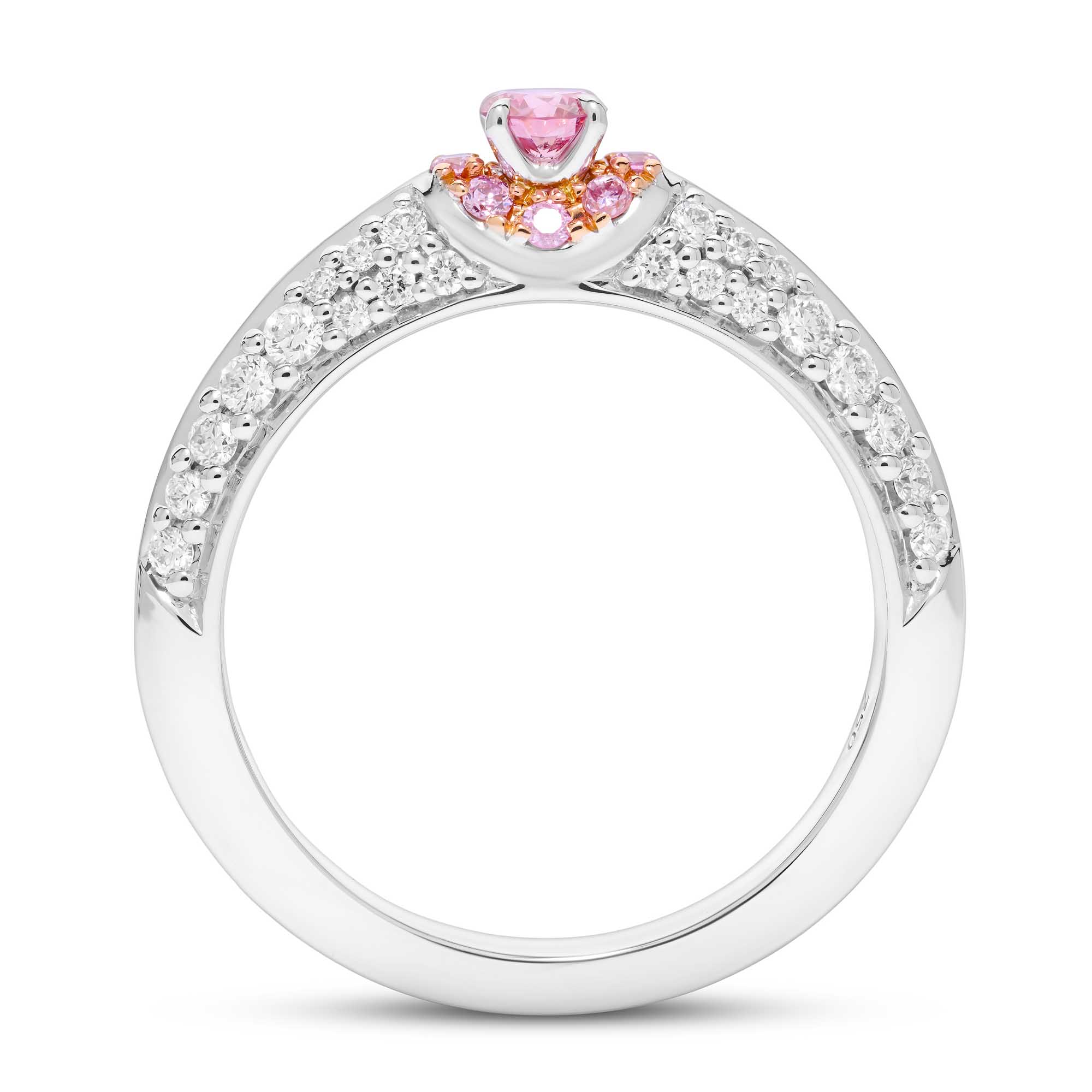 RI 0256A Jacqueline 2