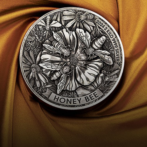 Discover new releases 2024