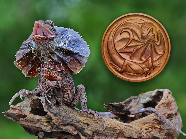 Two Cents   640 x 480